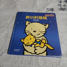 胆小的猫咪