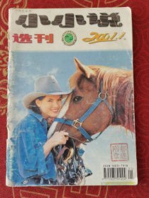 小小说选刊2001-1