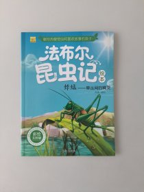 法布尔昆虫记绘本 蚱蜢：草丛间的精灵（彩绘美图版）