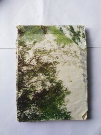 笔记本（外皮撕口，磨损，书里前后多页都有书写。中间有很多页空白。内容和品相请自定）