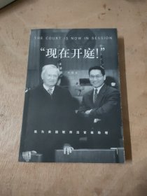 现在开庭：我为美国联邦法官做助理