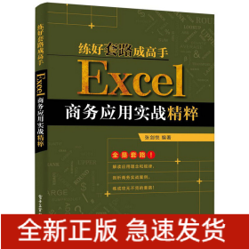练好套路成高手(Excel商务应用实战精粹)
