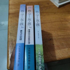 数学女孩2：费马大定理，3本合售