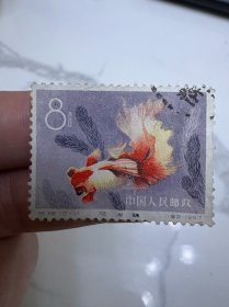 特38金鱼邮票12-11信销票面好背有薄 点线戳