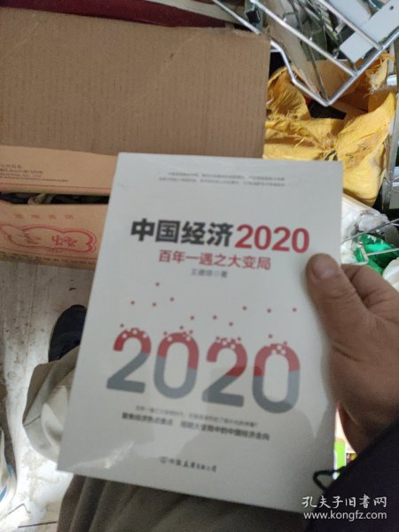 中国经济2020