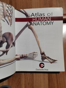 Atlas of Human Anatomy《人体解剖学图谱》2015年