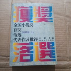 全国小说落选获奖代表作及批评