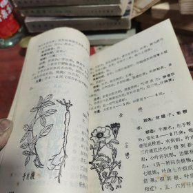 草药针灸治兽病