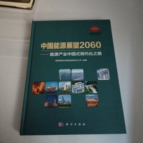 中国能源展望2060——能源产业中国式现代化之路