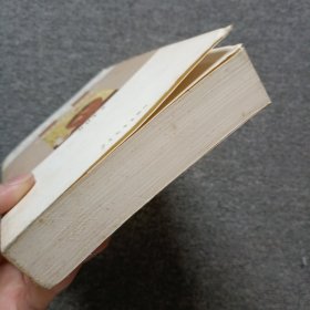 中国儿童文学理论发展史：风信子儿童文学理论文丛