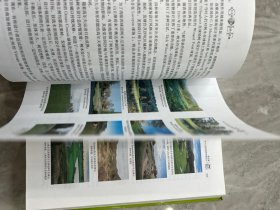 高尔夫球场植物选择与配置