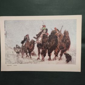 洪荒风雪