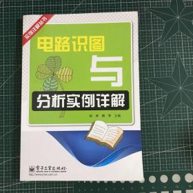 实例详解丛书：电路识图与分析