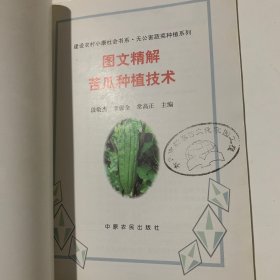 图文精解苦瓜种植技术