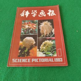 科学画报1983年1期