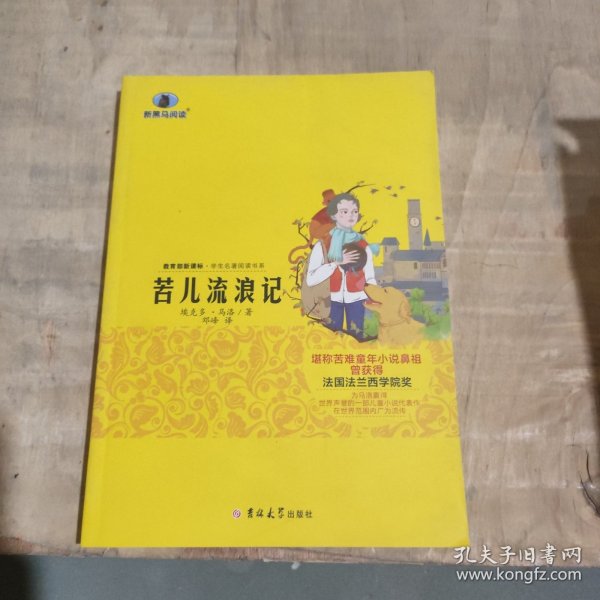 新黑马阅读：苦儿流浪记