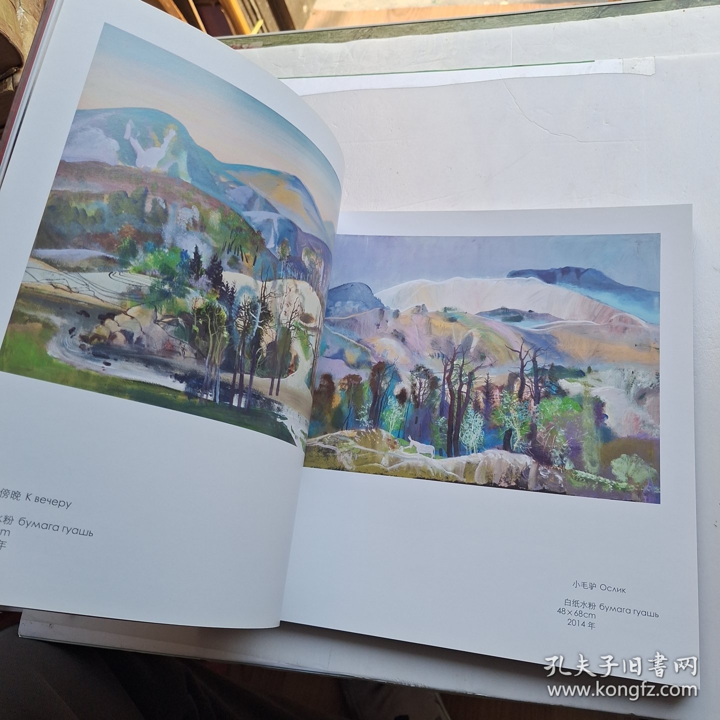 俄罗斯列宾美术学院著名画家画西藏作品集