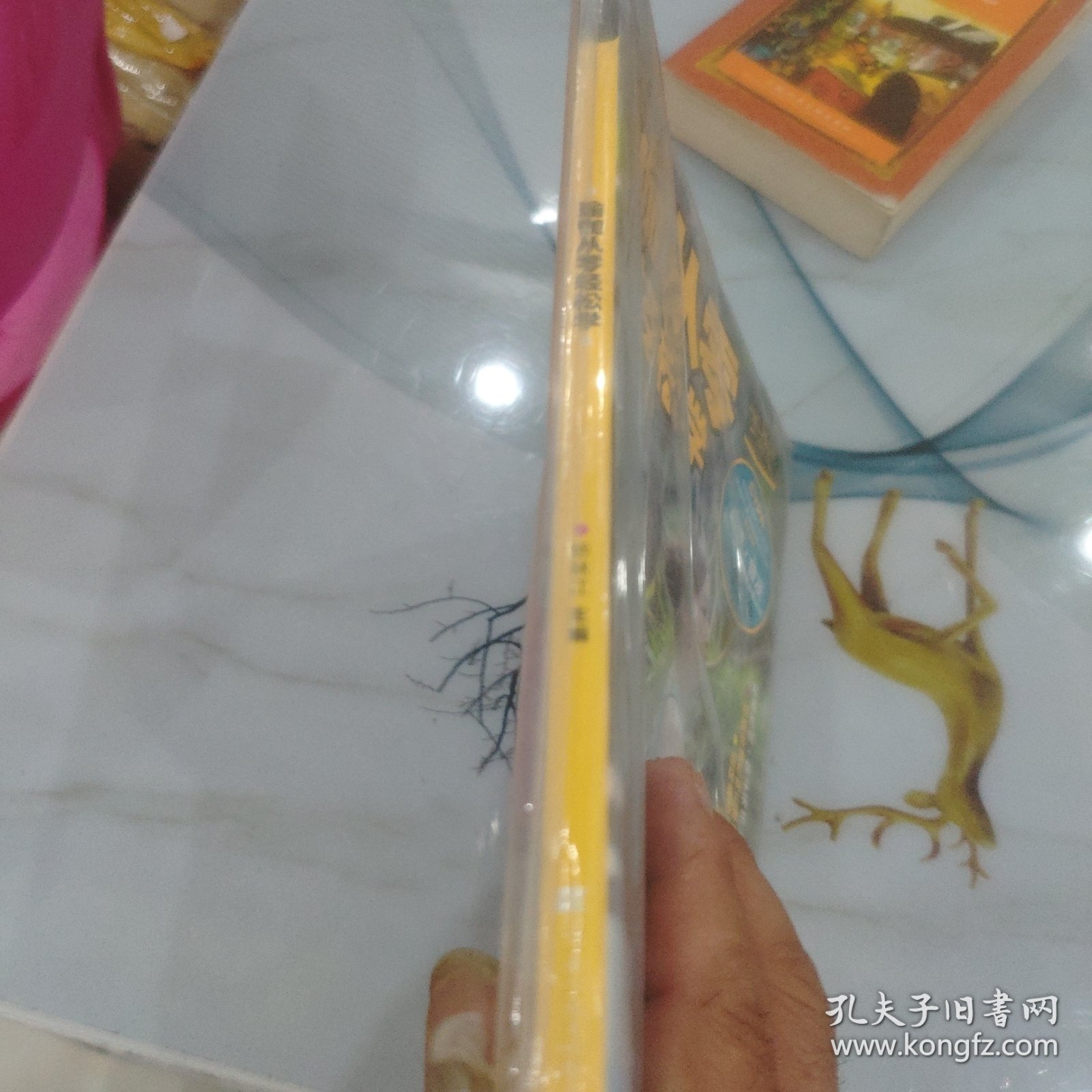 瑜伽从零轻松学