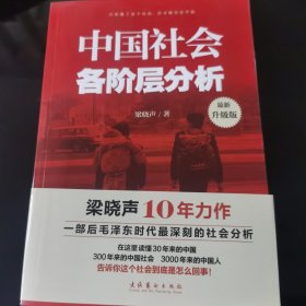 中国社会各阶层分析