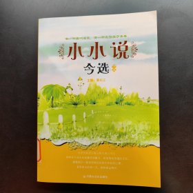 小小说今选 下册