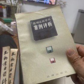 新刑法新罪名案例评析