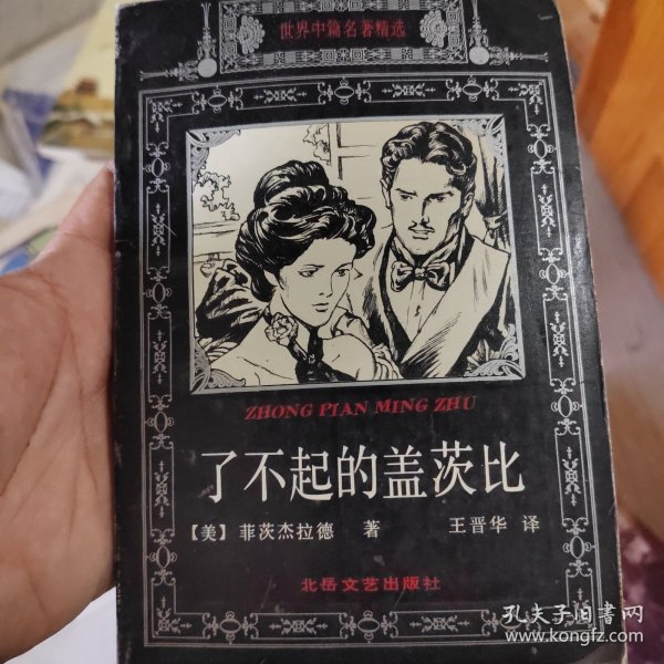 了不起的盖茨比：世界中篇名著精选