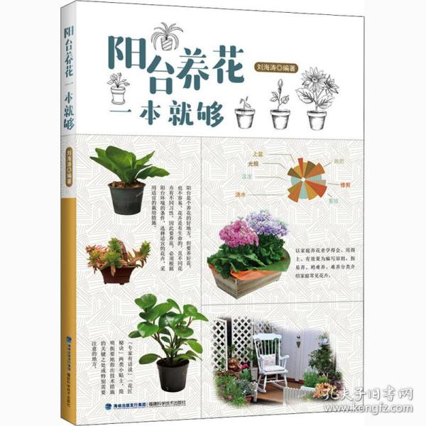 阳台养花一本够 生活休闲 作者 新华正版