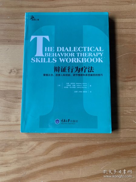 辩证行为疗法：掌握正念、改善人际效能、调节情绪和承受痛苦的技巧