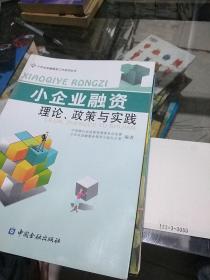 小企业融资理论、政策与实践