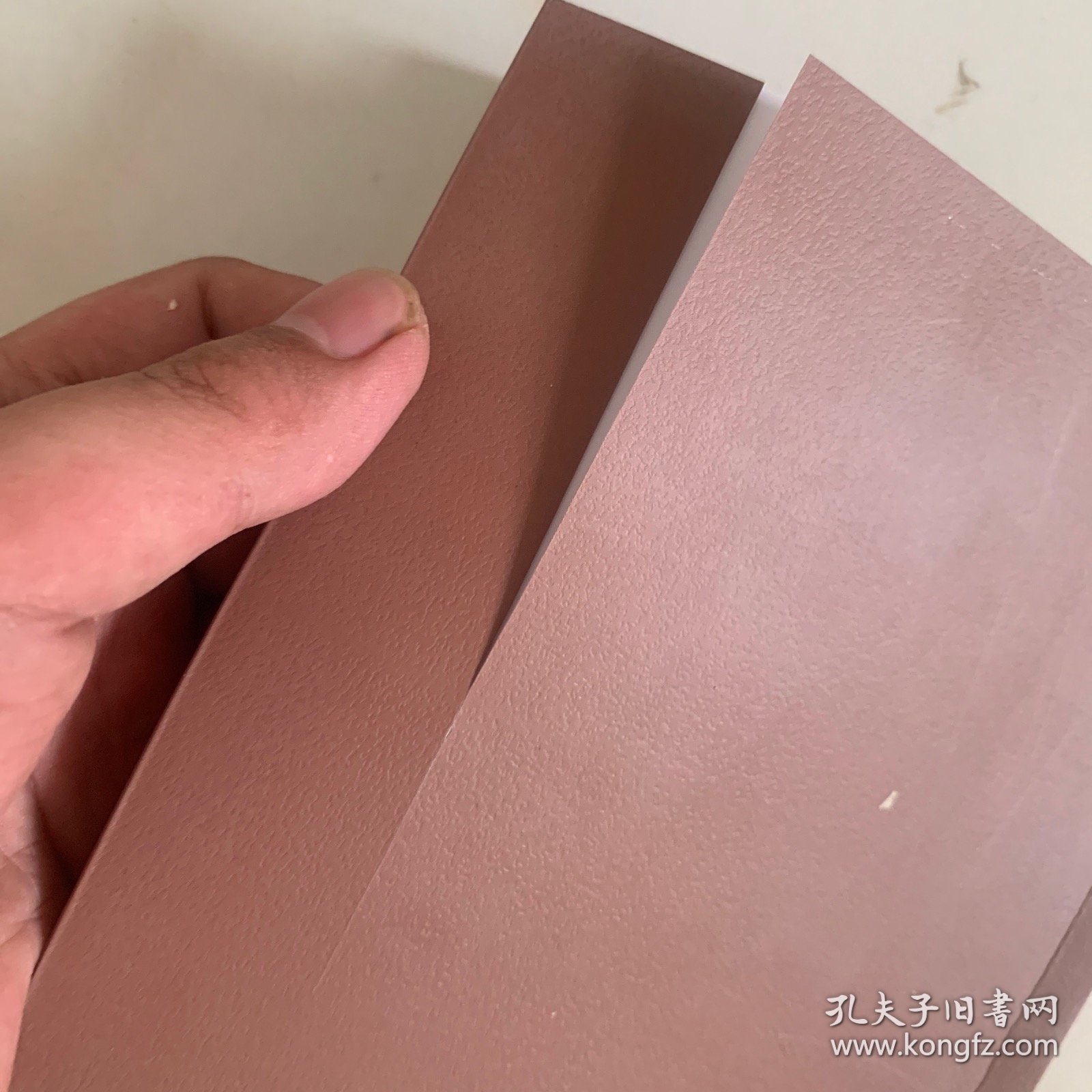 看守我兄长的人：詹姆斯·乔伊斯的早期生活.
