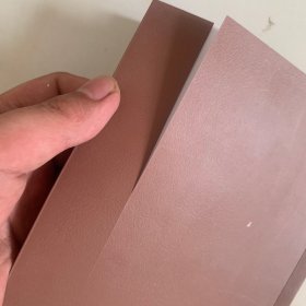 看守我兄长的人：詹姆斯·乔伊斯的早期生活.