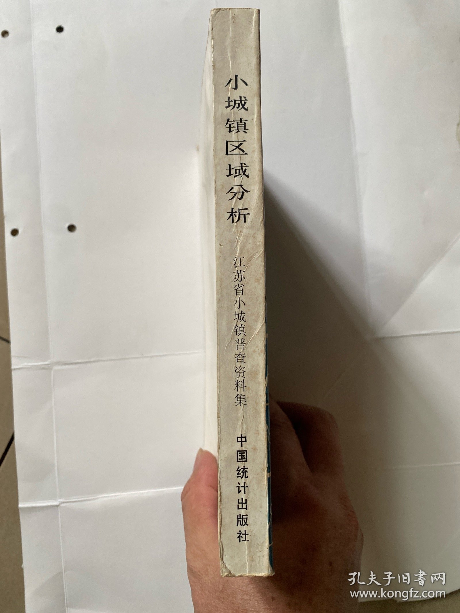 小城镇区域分析：江苏省小城镇普查资料集