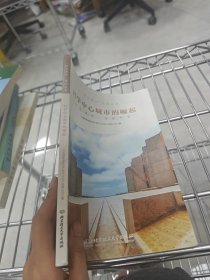 科学中心城市的崛起/技术要点系列丛书