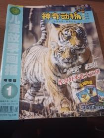 儿童故事画报  动物版   神奇动物  2022年1.3-6期=5本合售