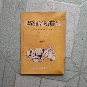 农业生产合作社怎样养牛