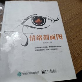 情绪剖面图