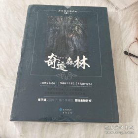 少年夜不语系列：奇迹森林