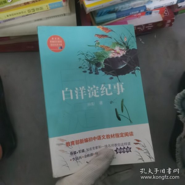 白洋淀纪事（教育部新编语文教材指定阅读书系）