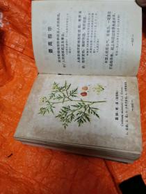 东北常用中草药手册