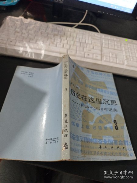 历史在这里沉思 1966-1976年记实 3