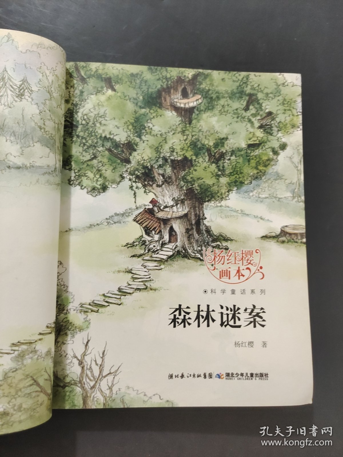 森林谜案