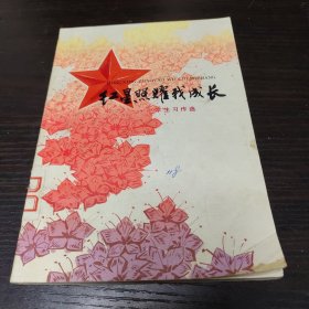 红星照耀我成长一一小学生习作选