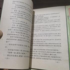 武林霸主全三册