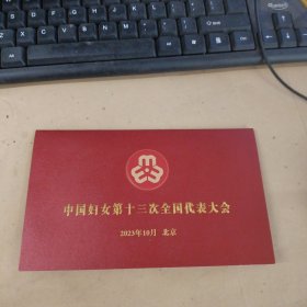 中国妇女第十三次全国代表大会