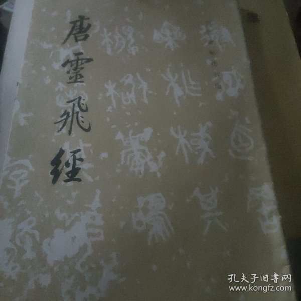 唐灵飞经