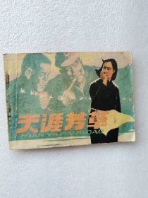 天涯芳草 连环画