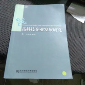 高科技企业发展研究