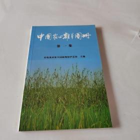 中国农田杂草图册.第一集