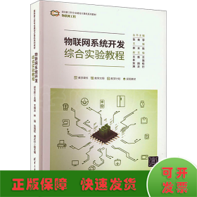 物联网系统开发综合实验教程（面向新工科专业建设计算机系列教材）