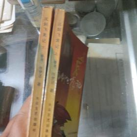 沉剑飞龙记  上下册
